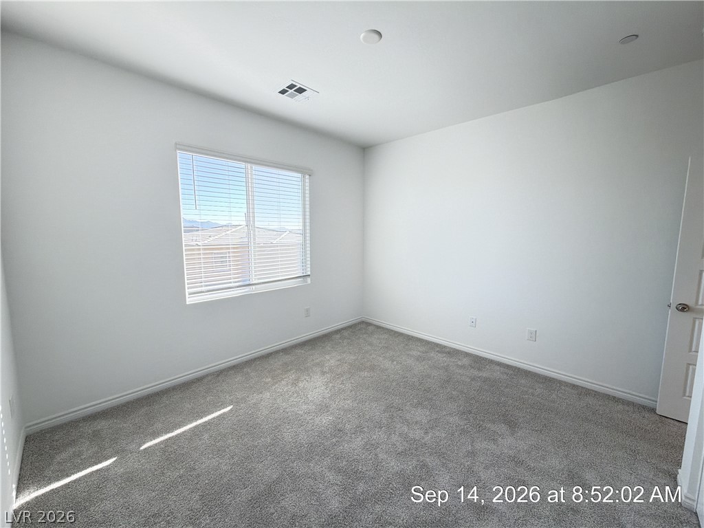 8856 Flora Run Avenue Property Photo 27
