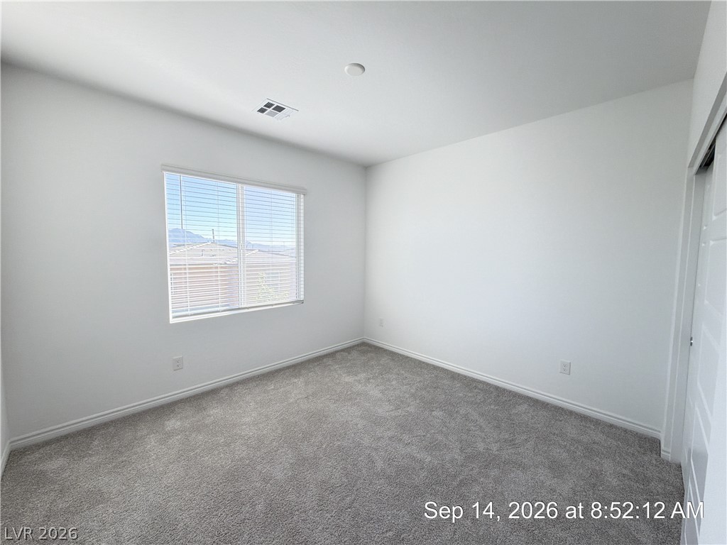 8856 Flora Run Avenue Property Photo 28