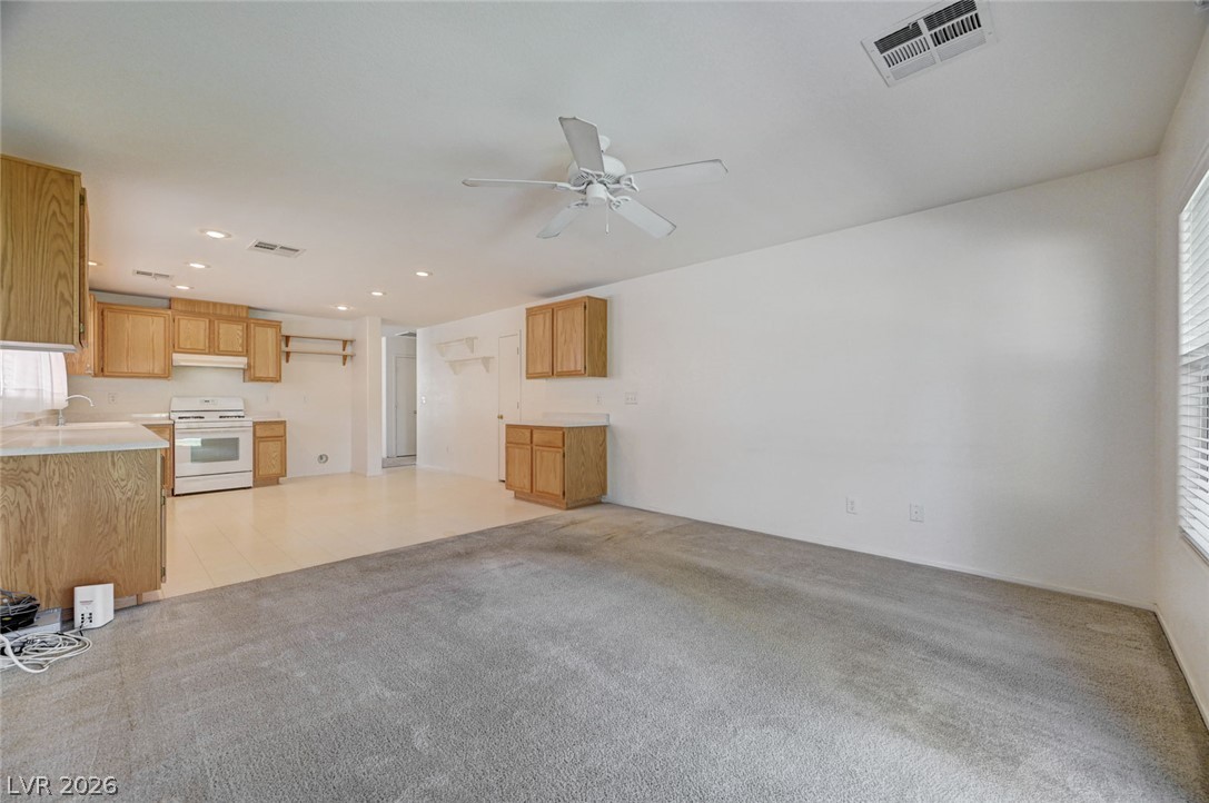 4908 Shady Rim Court Property Photo 27