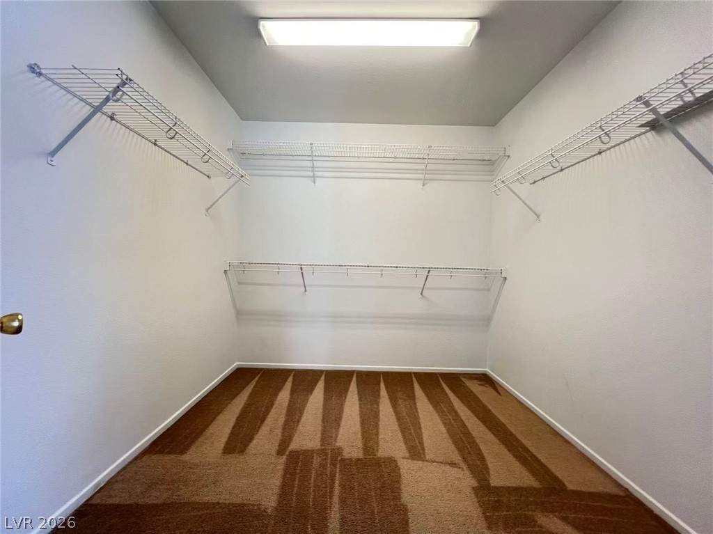 11682 Terenzio Court Property Photo 20