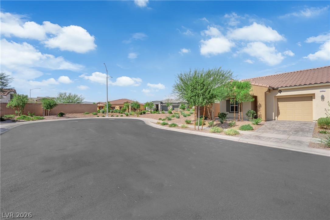 1181 Desert Lark Street Property Photo 3