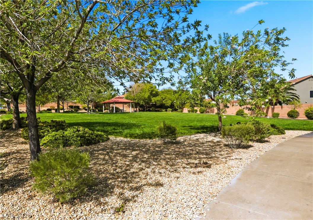 609 Backbone Mountain Drive Property Photo 37