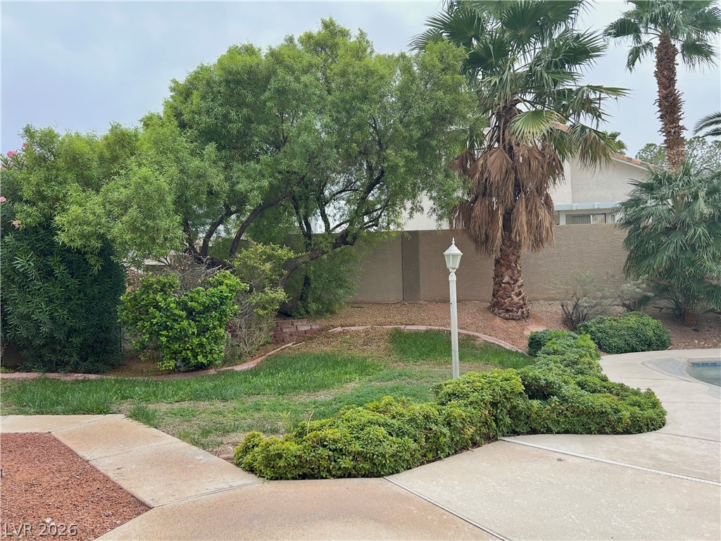 8733 Blazing Saddle Avenue Property Photo 36
