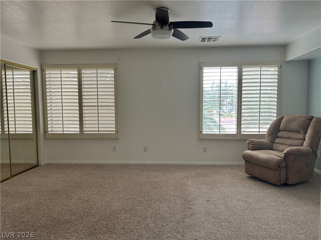 8733 Blazing Saddle Avenue Property Photo 54
