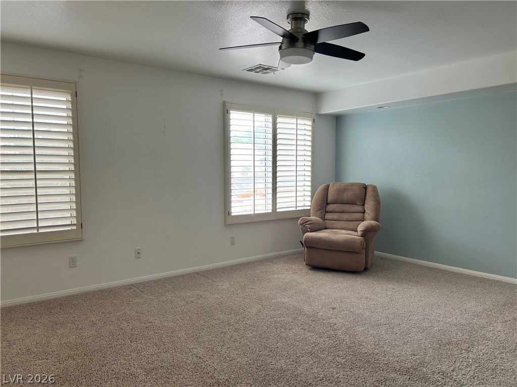 8733 Blazing Saddle Avenue Property Photo 55