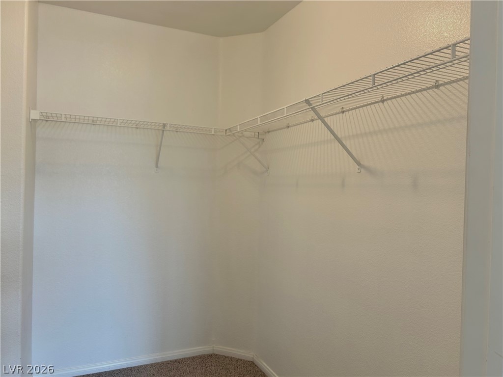 8733 Blazing Saddle Avenue Property Photo 63