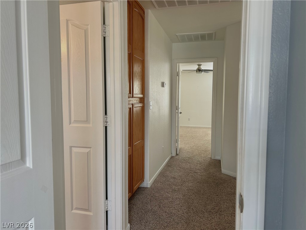 8733 Blazing Saddle Avenue Property Photo 71