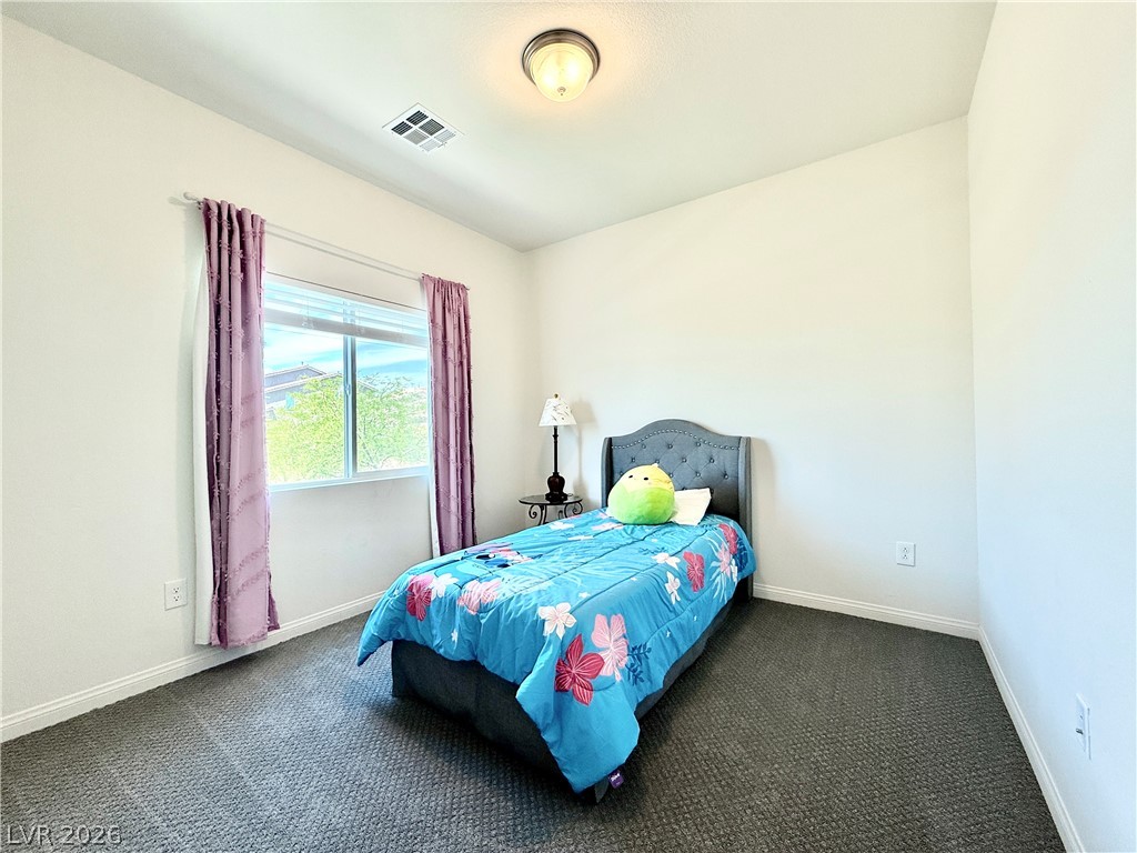 9831 Panther Hollow Street Property Photo 19