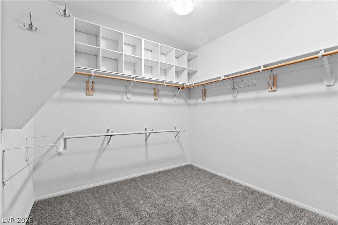 10003 Bayberry Bend Street Property Photo 58