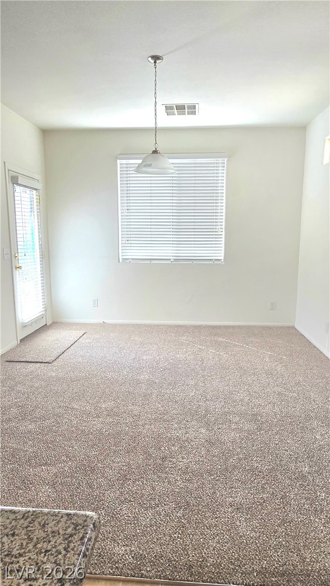 9063 Spring Star Court Property Photo 4