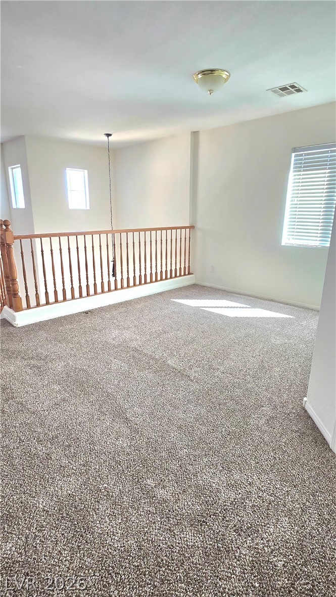 9063 Spring Star Court Property Photo 11