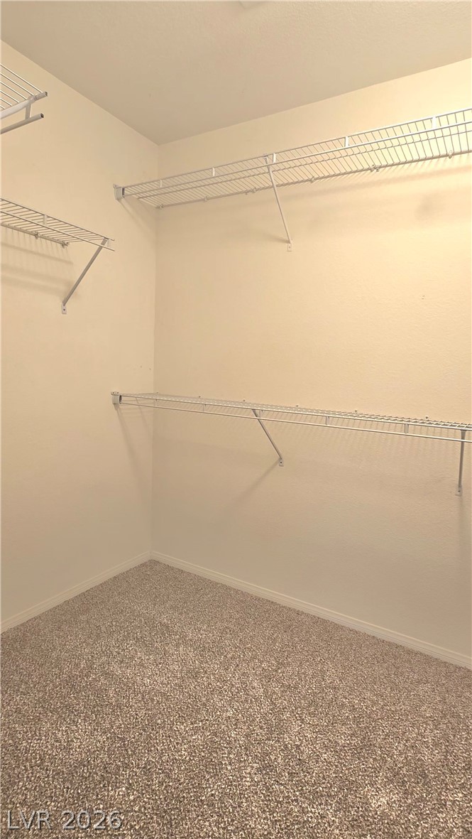 9063 Spring Star Court Property Photo 12