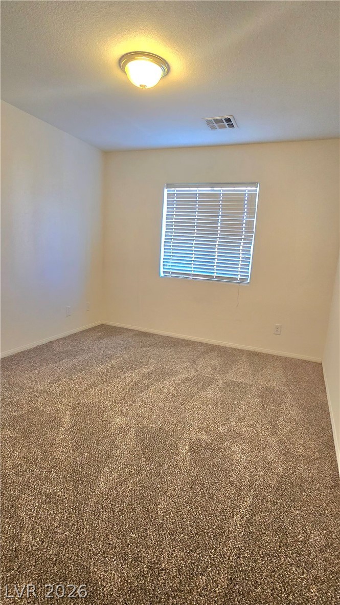 9063 Spring Star Court Property Photo 15