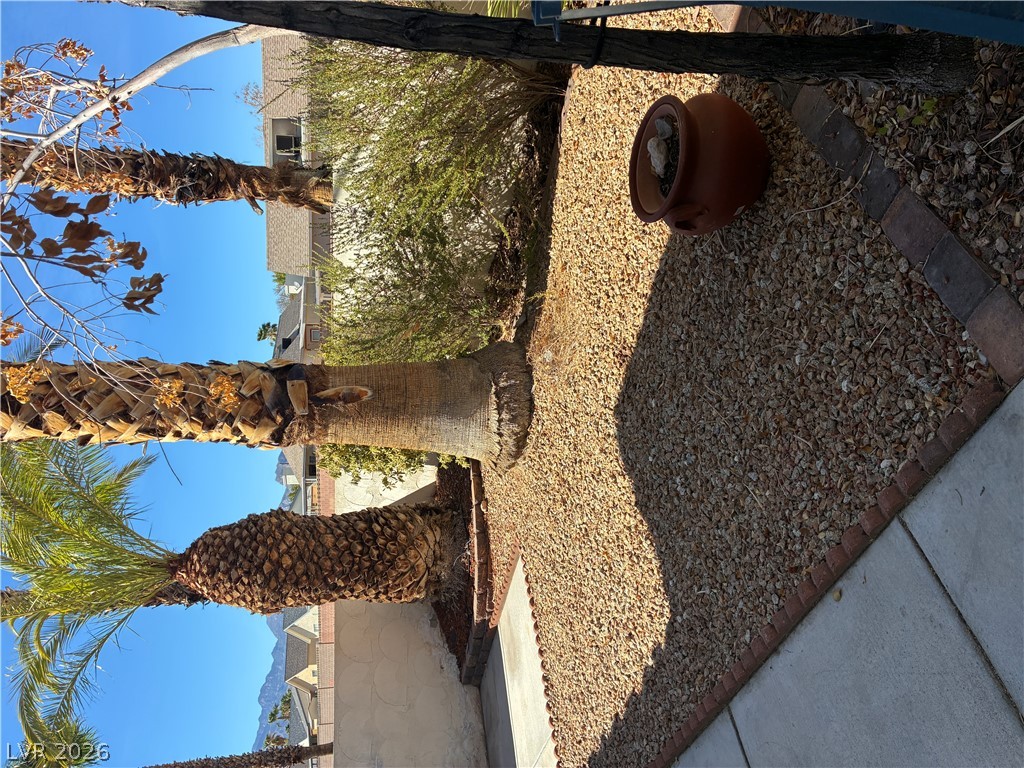 8168 Autumn Star Avenue Property Photo 46