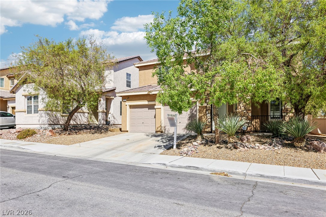 8028 Baldy Mountain Avenue Property Photo 3