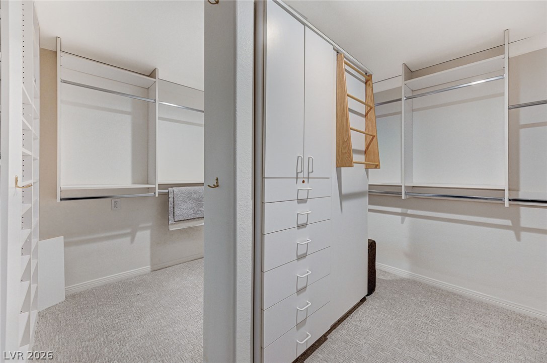 8121 Castle Pines Avenue Property Photo 52