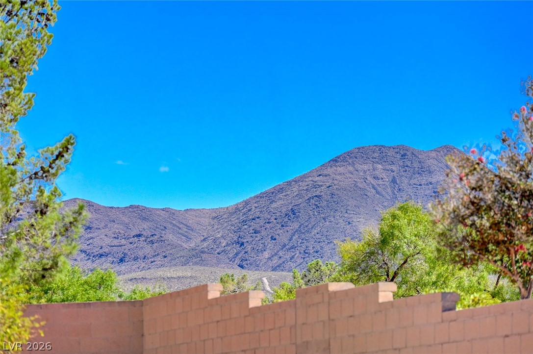 2529 Springville Way Property Photo 67