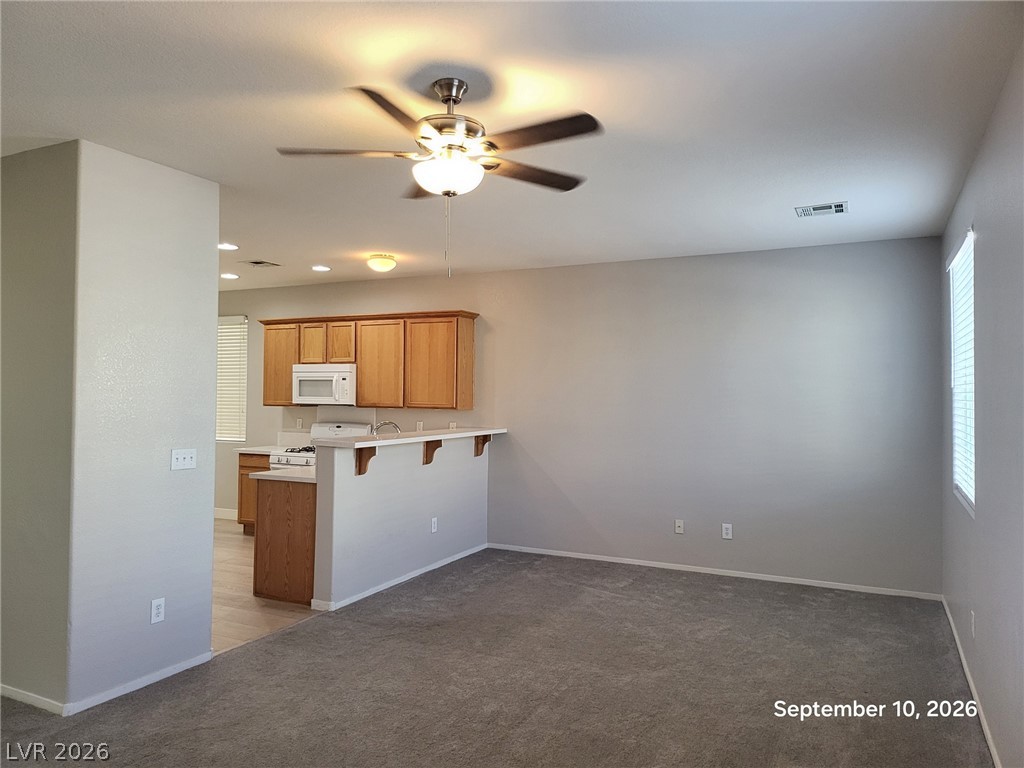 4095 Sparrow Rock Street Property Photo 2