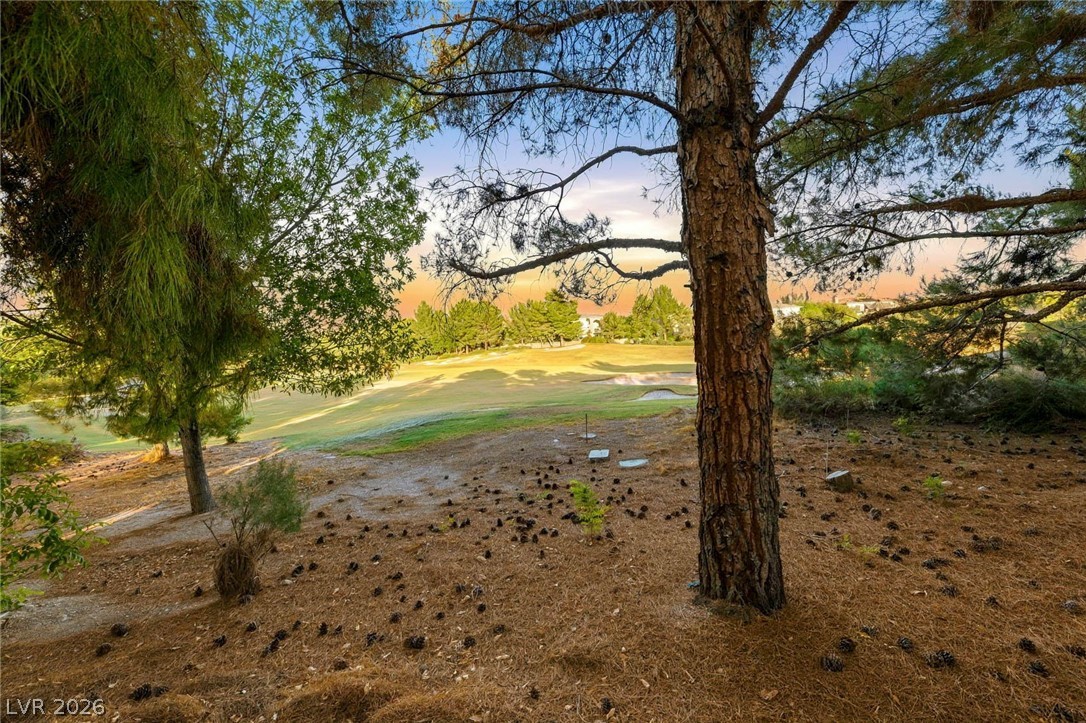 12056 Royal Dolnoch Court Property Photo 54