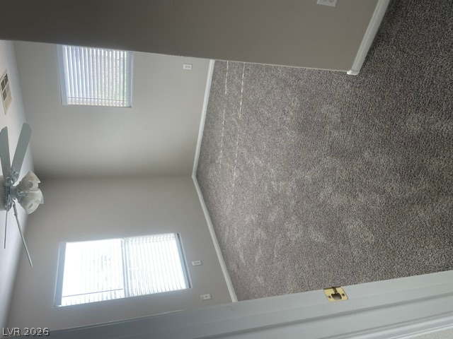 174 Rose Lake Street Property Photo 20