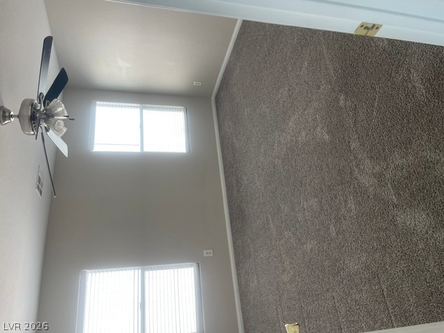 174 Rose Lake Street Property Photo 21