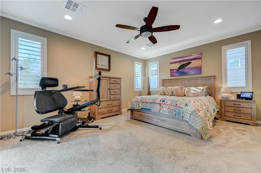 1332 Cattail Falls Street Property Photo 17