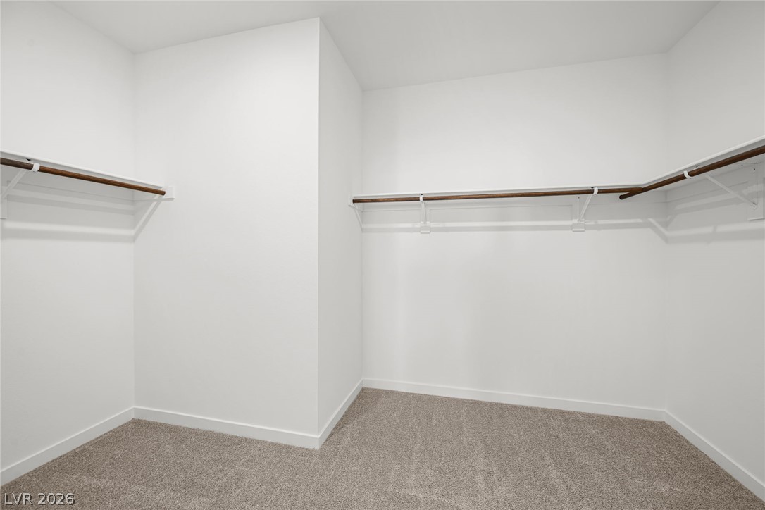 1663 Capri Falls Court Property Photo 22