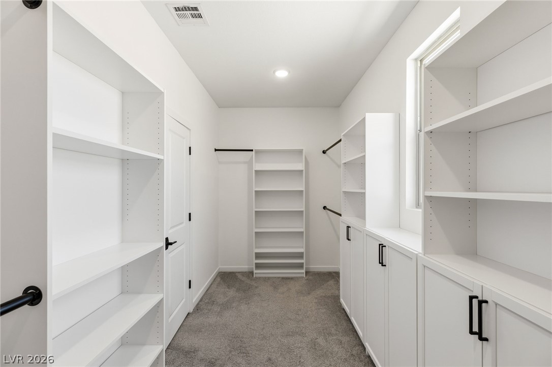 8269 Skye Highlands Street Property Photo 31