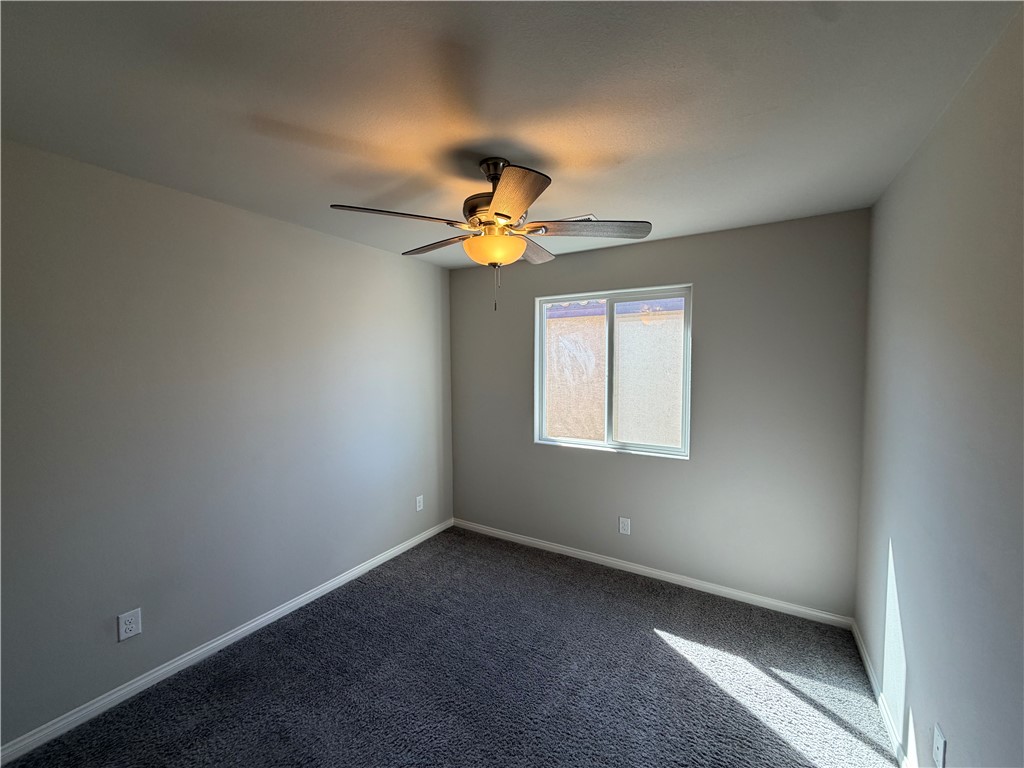 8231 Selenite Street Property Photo 43