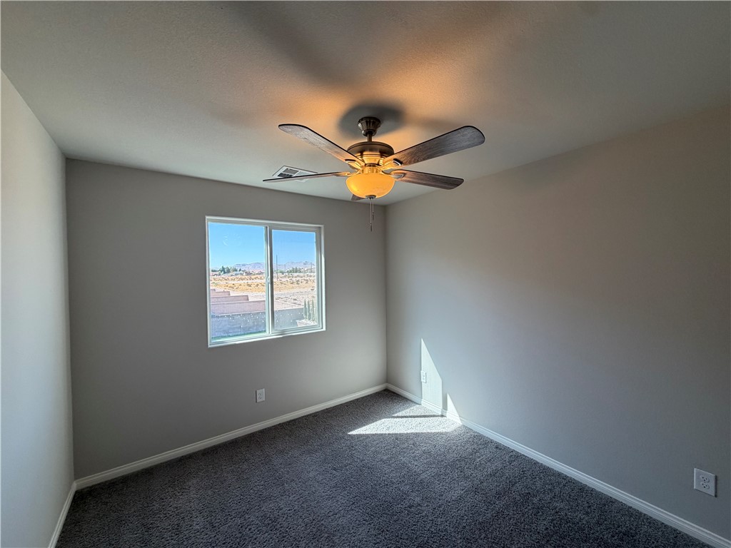 8231 Selenite Street Property Photo 46