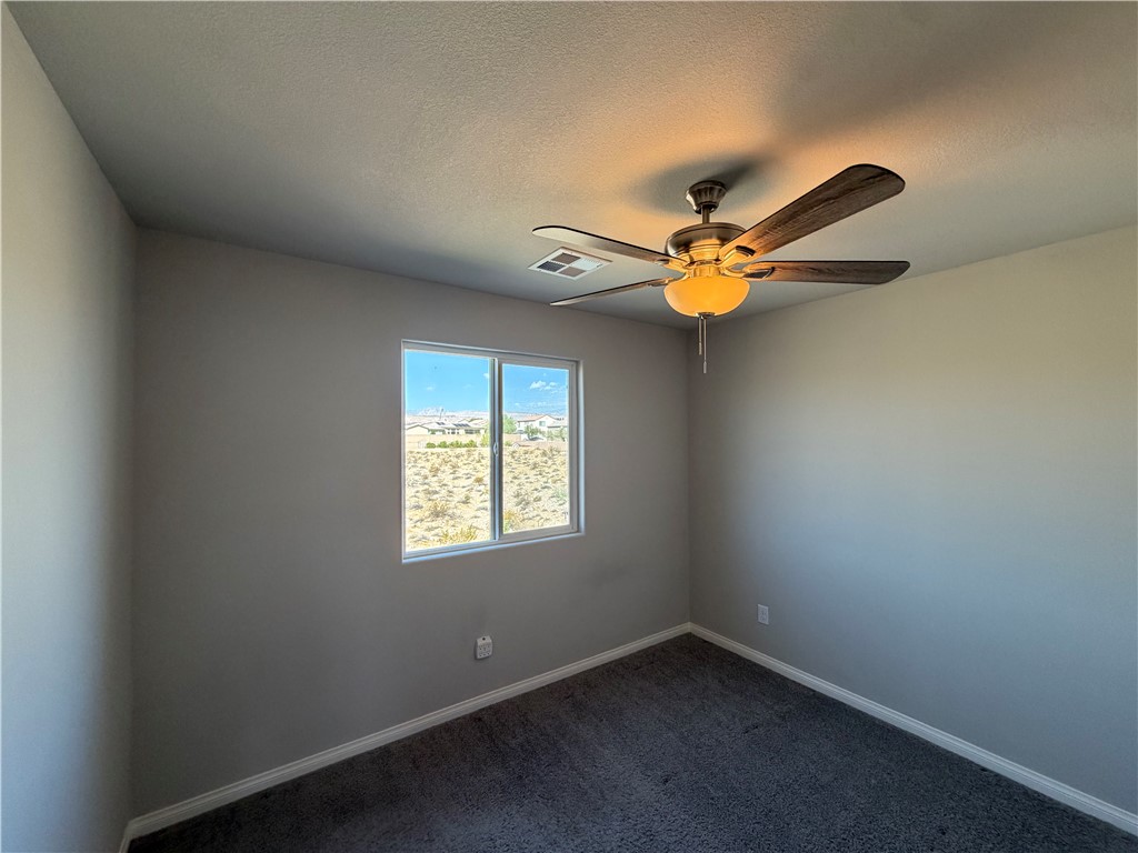 8231 Selenite Street Property Photo 51