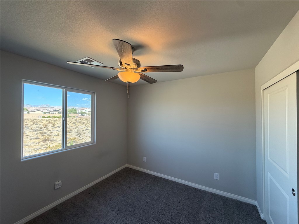 8231 Selenite Street Property Photo 52