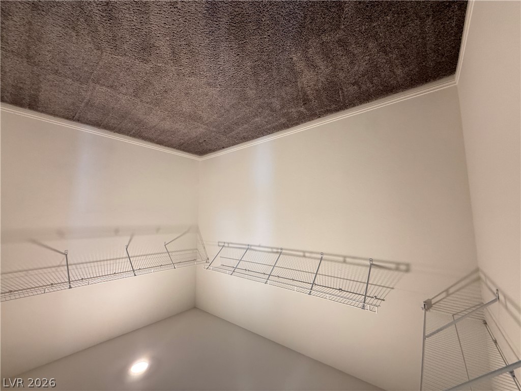 8211 Lantana Springs Street Property Photo 20