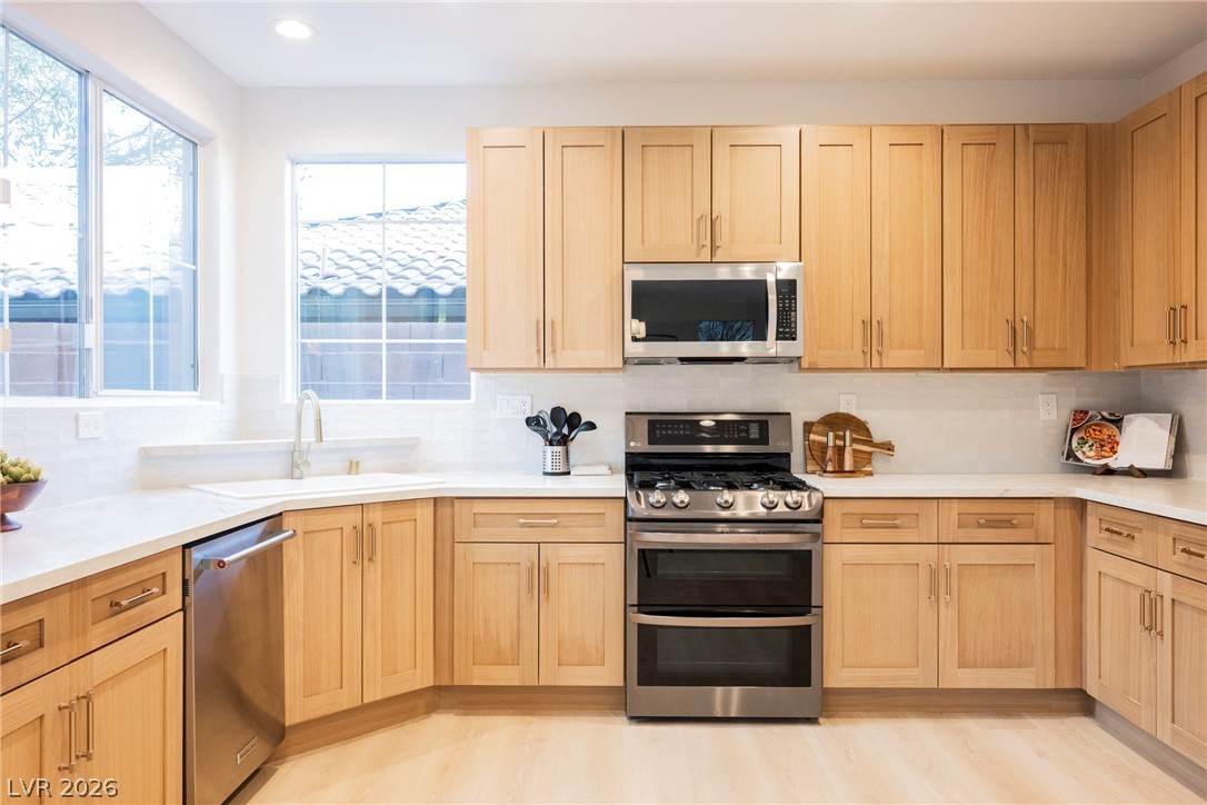 11173 Hickory Glen Street Property Photo 14