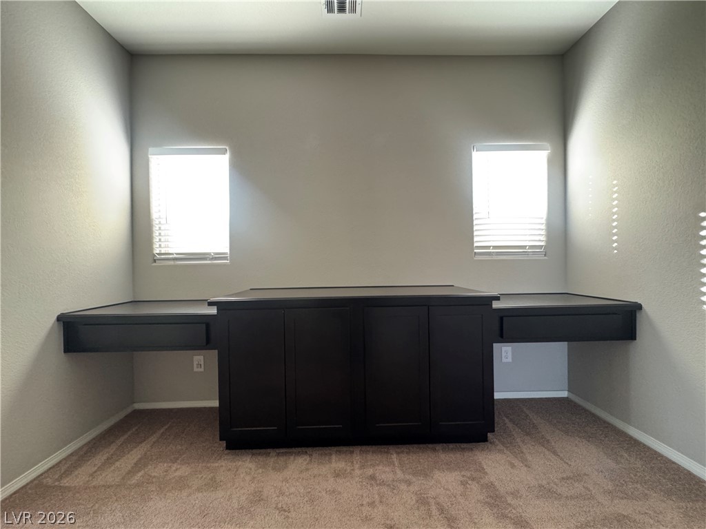 5117 Fiery Sky Ridge Street Property Photo 18