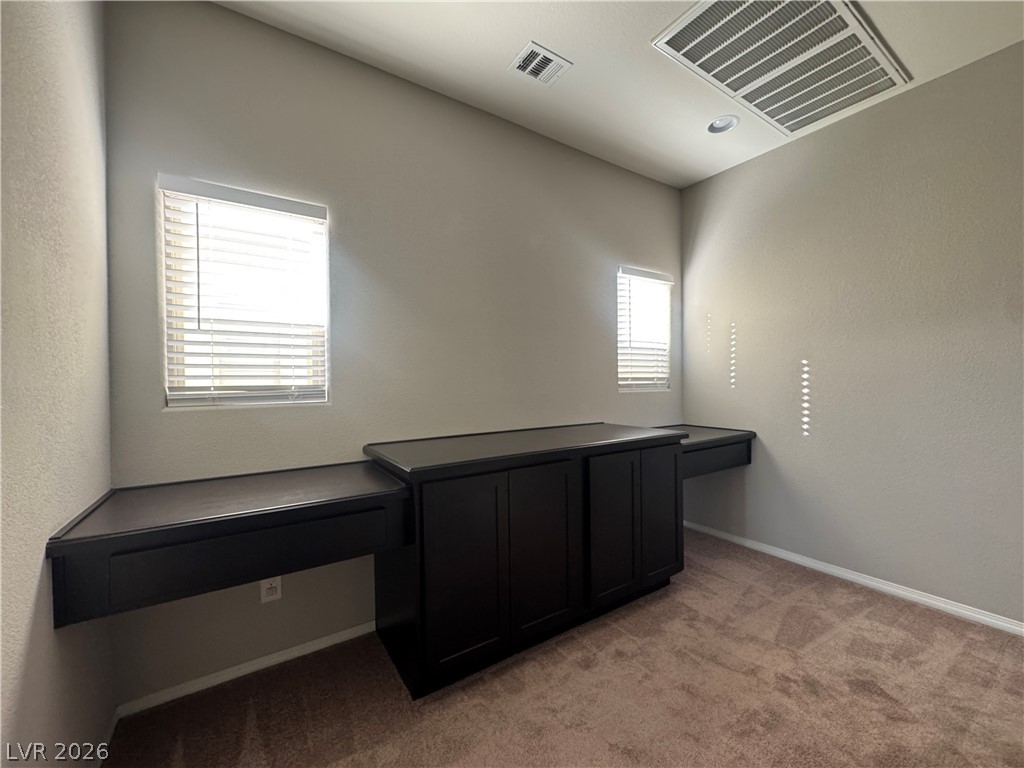 5117 Fiery Sky Ridge Street Property Photo 19
