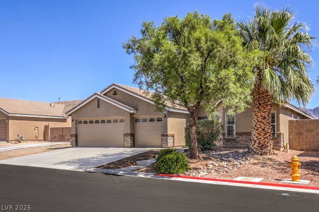 10232 Cowboys Dream Street Property Photo 28