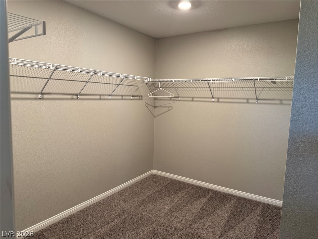 10621 Adobe Ranch Street Property Photo 22