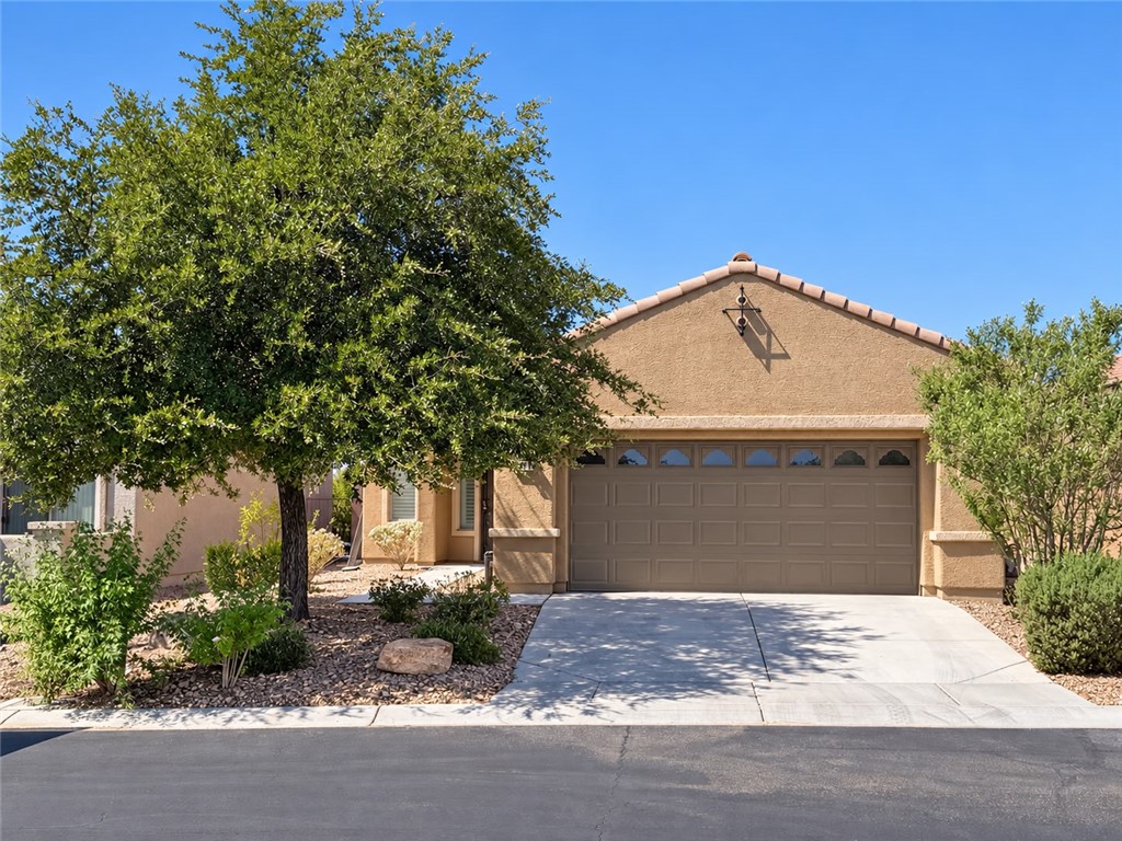 3979 Spanish Barb Street Property Photo 3