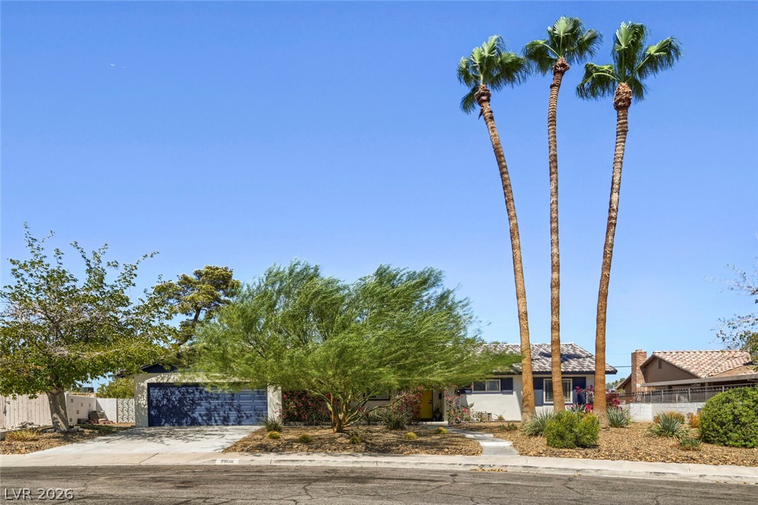 3908 El Jardin Avenue Property Photo 2