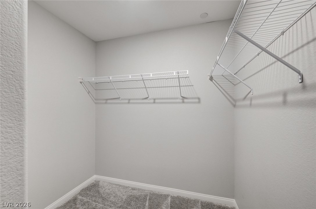 2587 Tolmezzo Street Property Photo 56