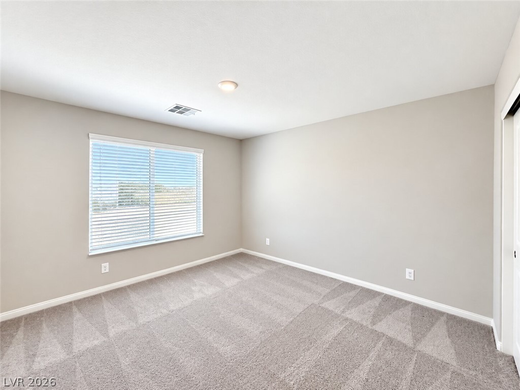 351 Night Dove Street Property Photo 19