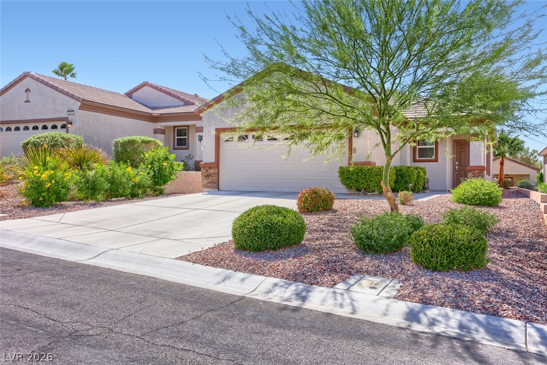 2347 Tranquil Moon Street Property Photo 3