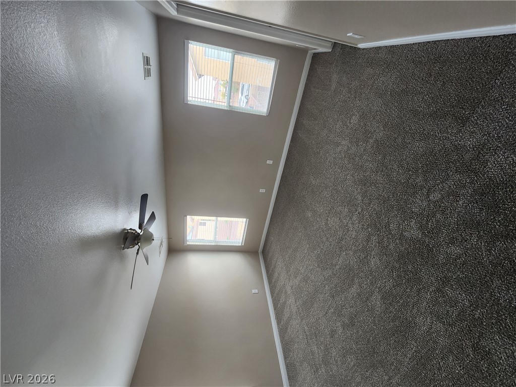6338 Alpine Tree Avenue Property Photo 7