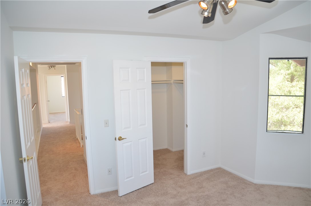 1442 White Drive Property Photo 24