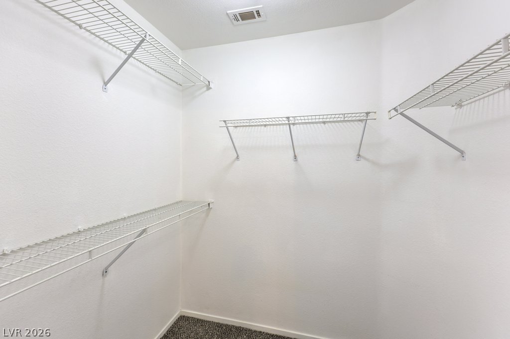 3186 Castle Canyon Avenue Property Photo 32