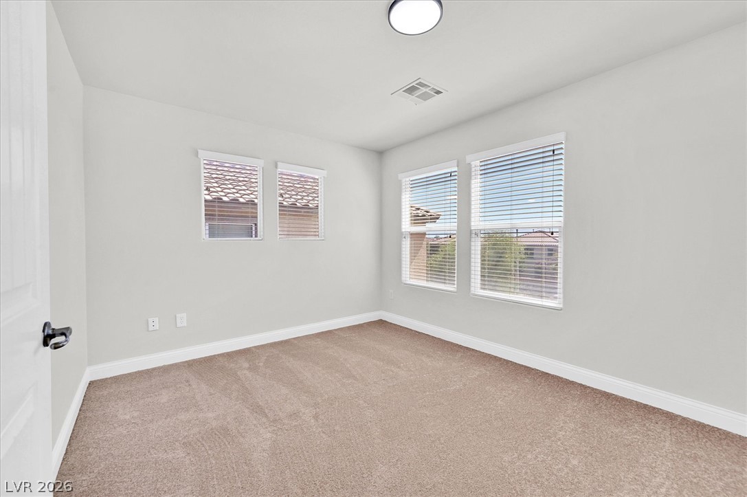 11921 Love Orchid Lane Property Photo 33