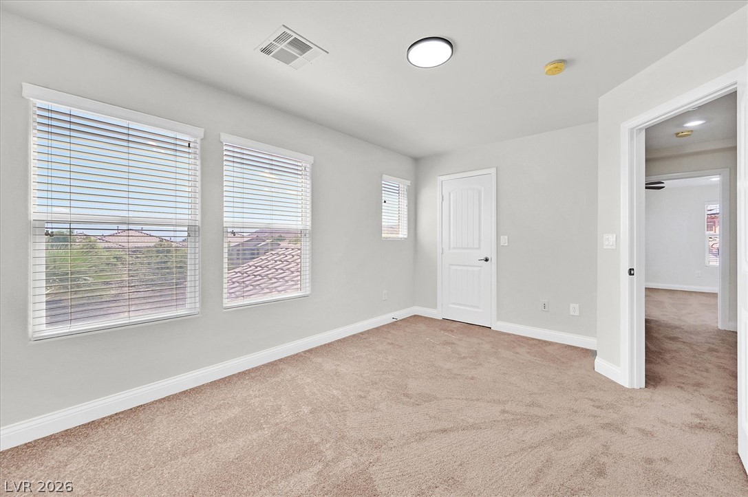 11921 Love Orchid Lane Property Photo 36
