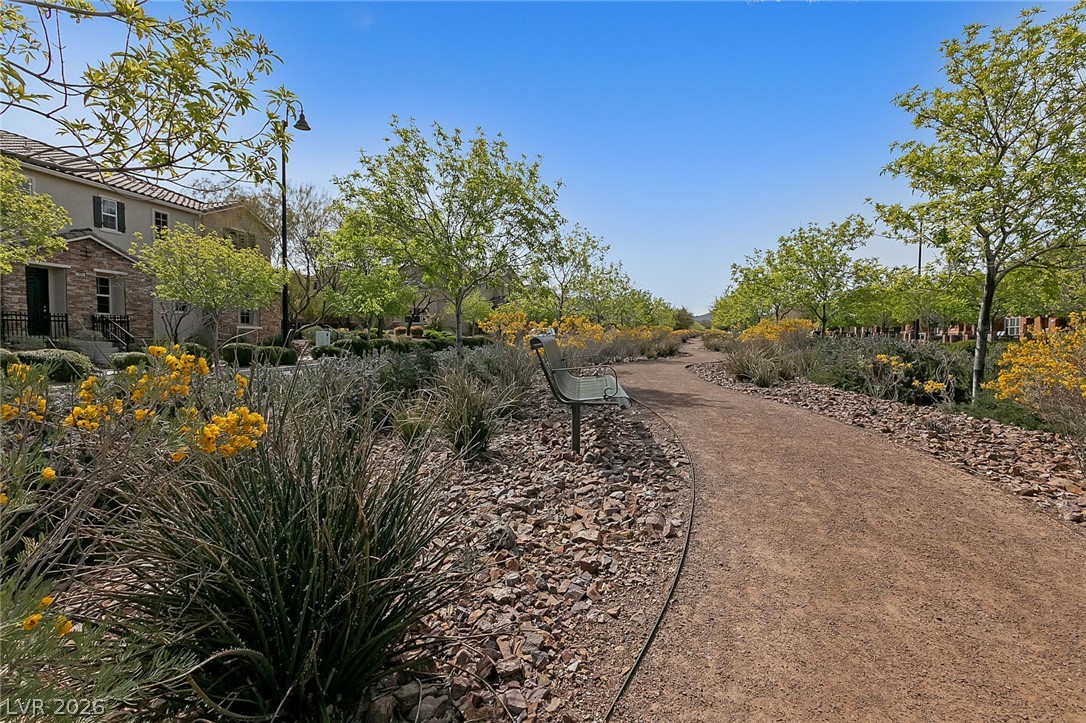 3164 Via Tellaro Property Photo 65