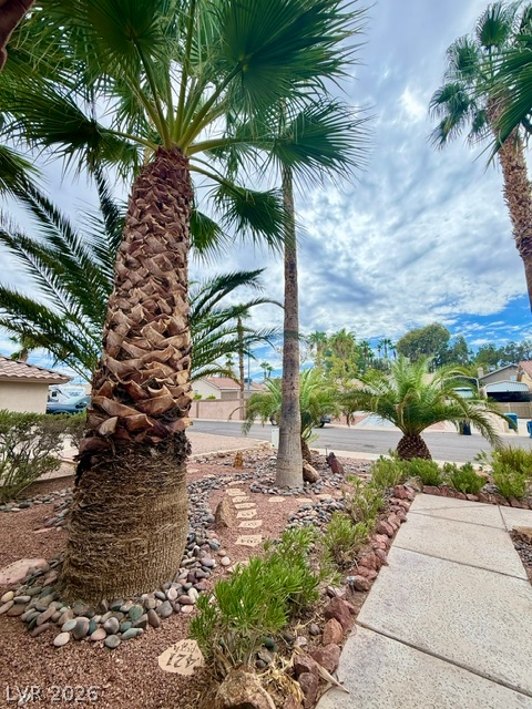 804 Rancho Coast Way Property Photo 3